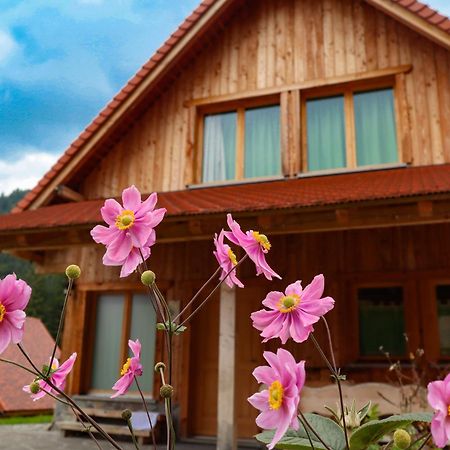 Dolomiti Village Comeglians Екстериор снимка