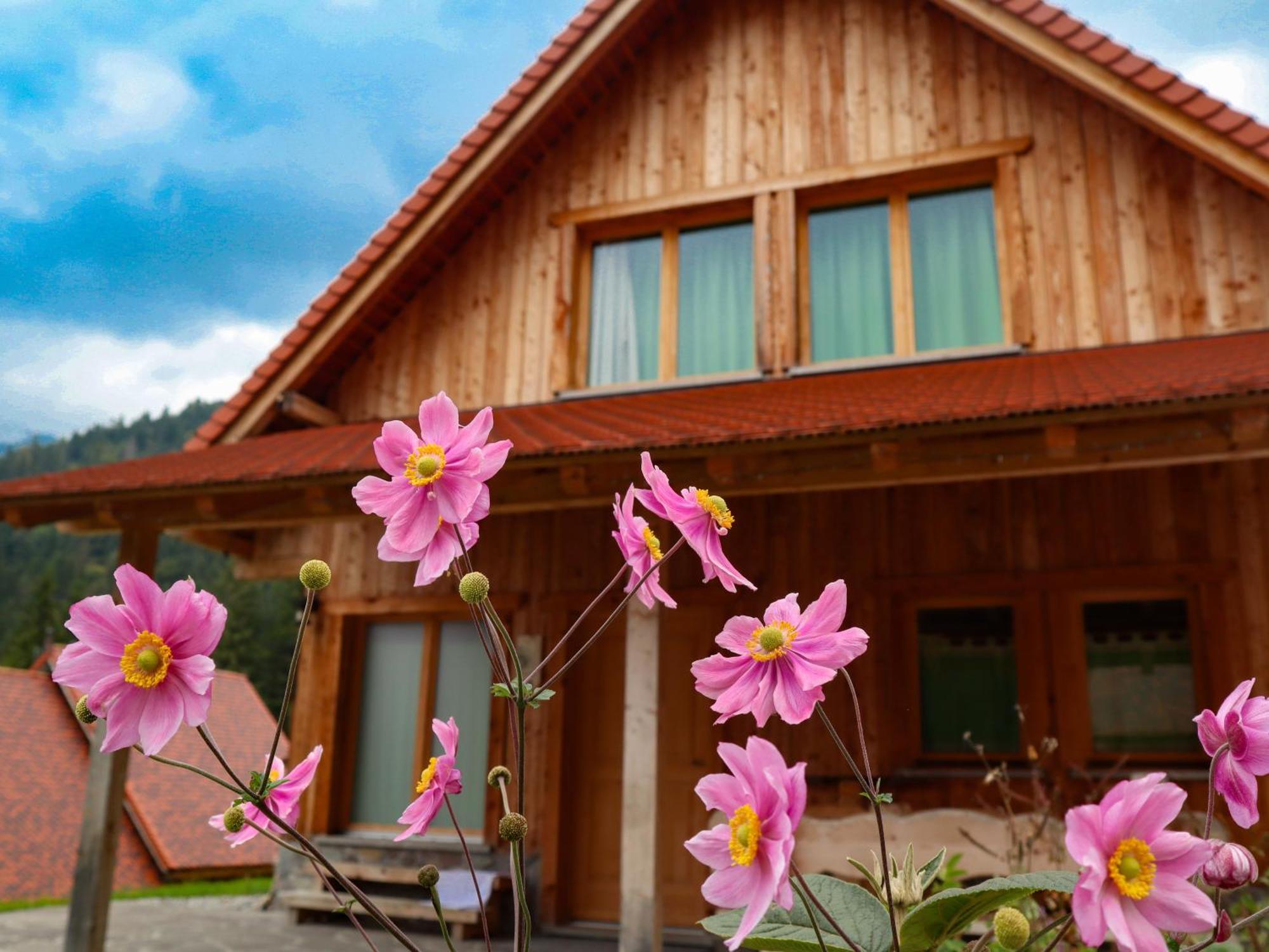 Dolomiti Village Comeglians Екстериор снимка